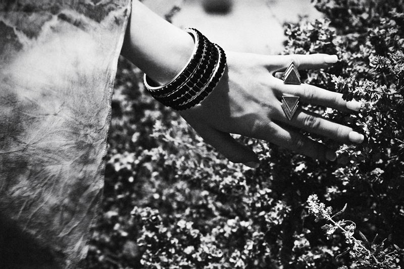 Christian Santos Campaign 6